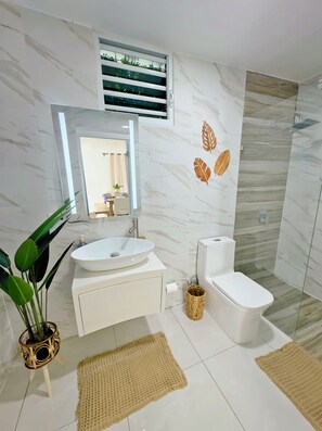 Shower, hair dryer, towels, soap
