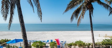 A beachside area with palm trees, lounge chairs, and a view of the ocean.
