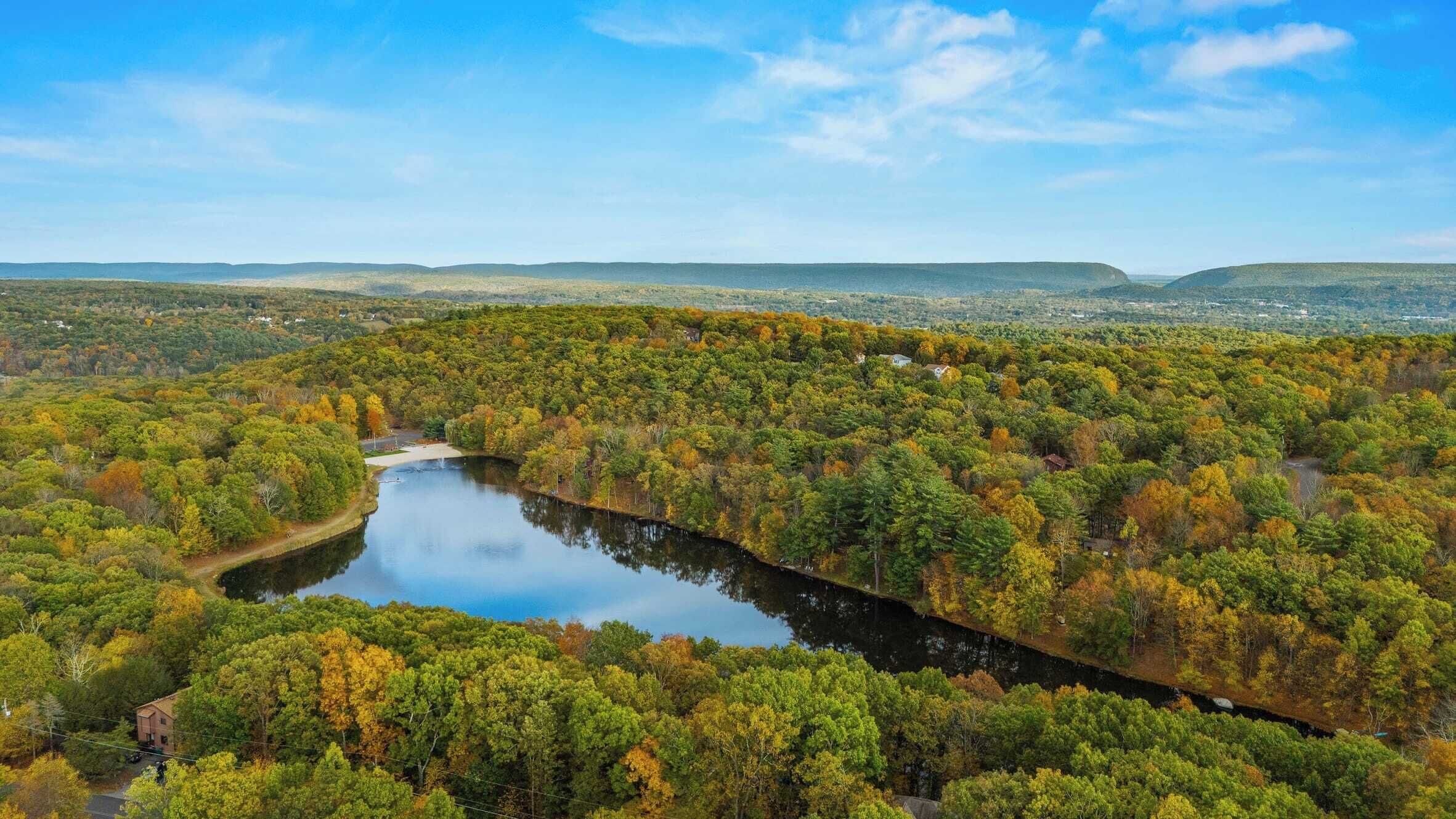 A river winding through a densely forested area with a clear sky.