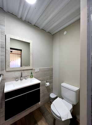 Shower, hair dryer, bidet, towels