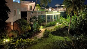 A modern house with a glass extension, surrounded by lush greenery and palm trees at night.