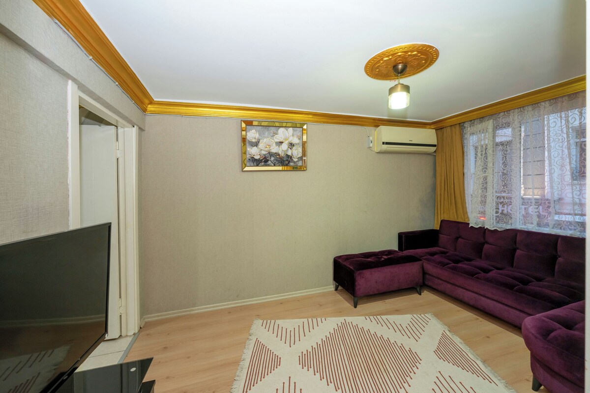 A living room with a flat-screen TV, a purple sofa, a patterned rug, and a ceiling fan.