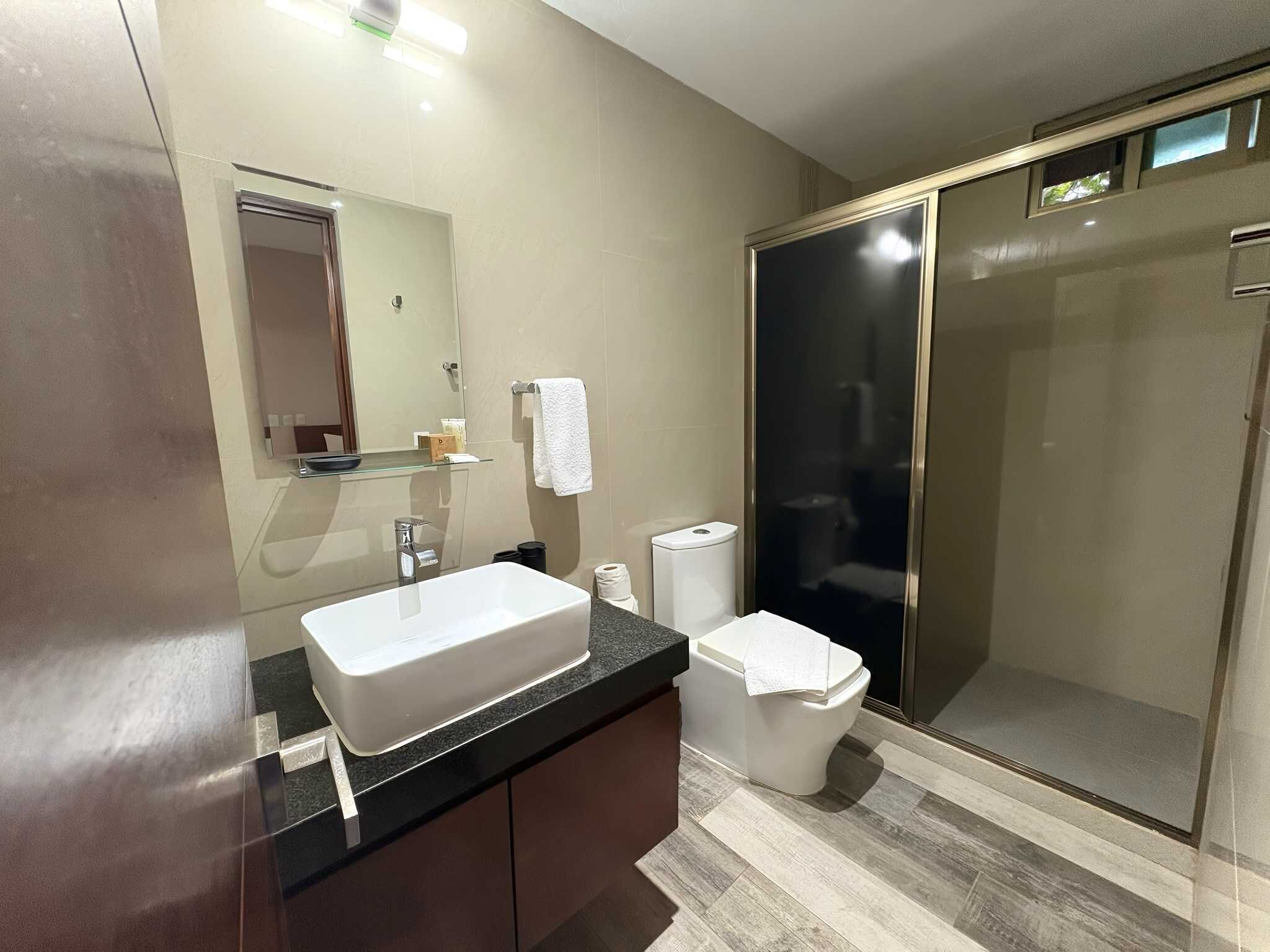 A modern bathroom with a large sink, mirror, and a walk-in shower.