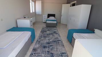 Basic Triple Room, Balcony, City View | 1 bedroom, desk, laptop workspace, free WiFi