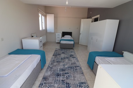 Basic Triple Room, Balcony, City View | Desk, laptop workspace, free WiFi