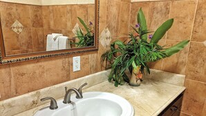Une salle de bain avec un lavabo blanc, deux robinets, un miroir et une plante en pot.