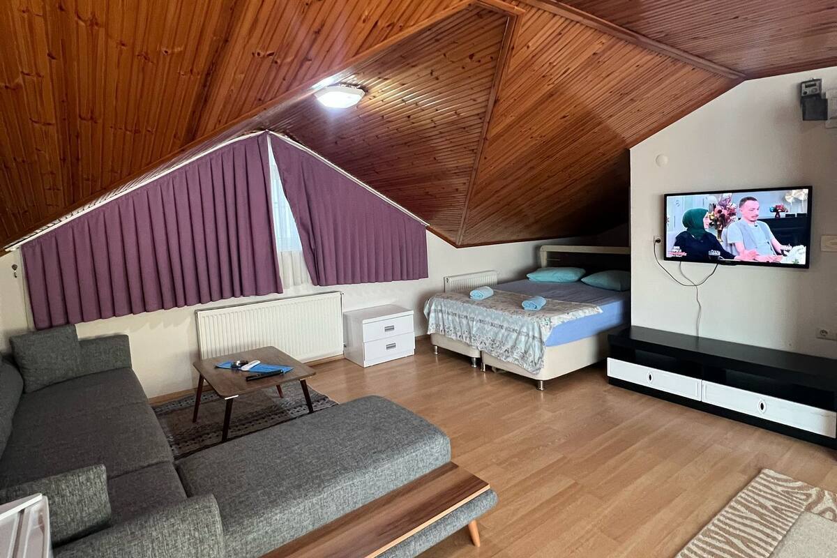 Un dormitorio tipo loft acogedor con techo inclinado, una cama grande, un televisor y un área de estar con sofá y mesa.