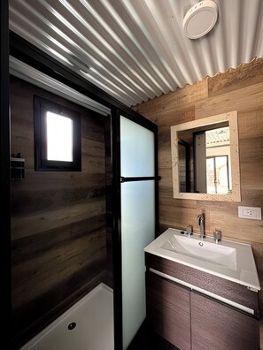 Shower, hair dryer, bidet, towels