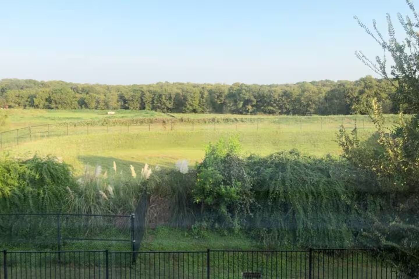 A fenced field with a view of a forested area in the background.