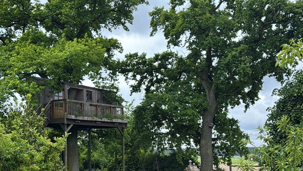 A wooden deck structure surrounded by lush greenery and a gravel path.