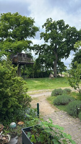 Vacation apartment in the countryside - relaxation between Lüneburg Heath and Wendland