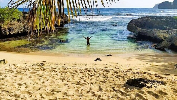 A beach with clear water, a person in the water, and a palm tree. - belle créole (Anse-Bertrand)