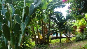 A lush garden with various plants, a wooden deck, and a pool area. - belle créole (Anse-Bertrand)