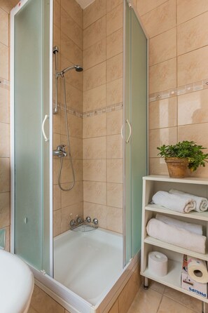 Shower, hair dryer, towels