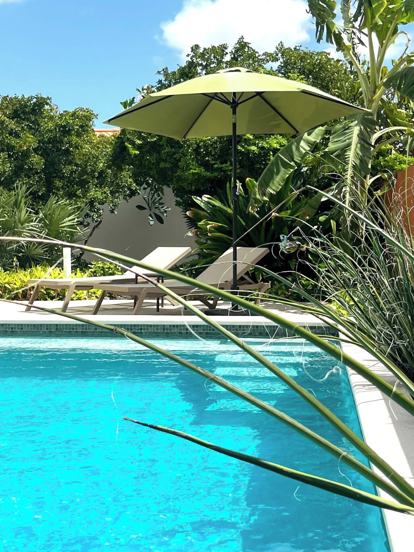 Alberca al aire libre 