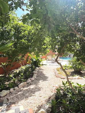 Piscine extérieure