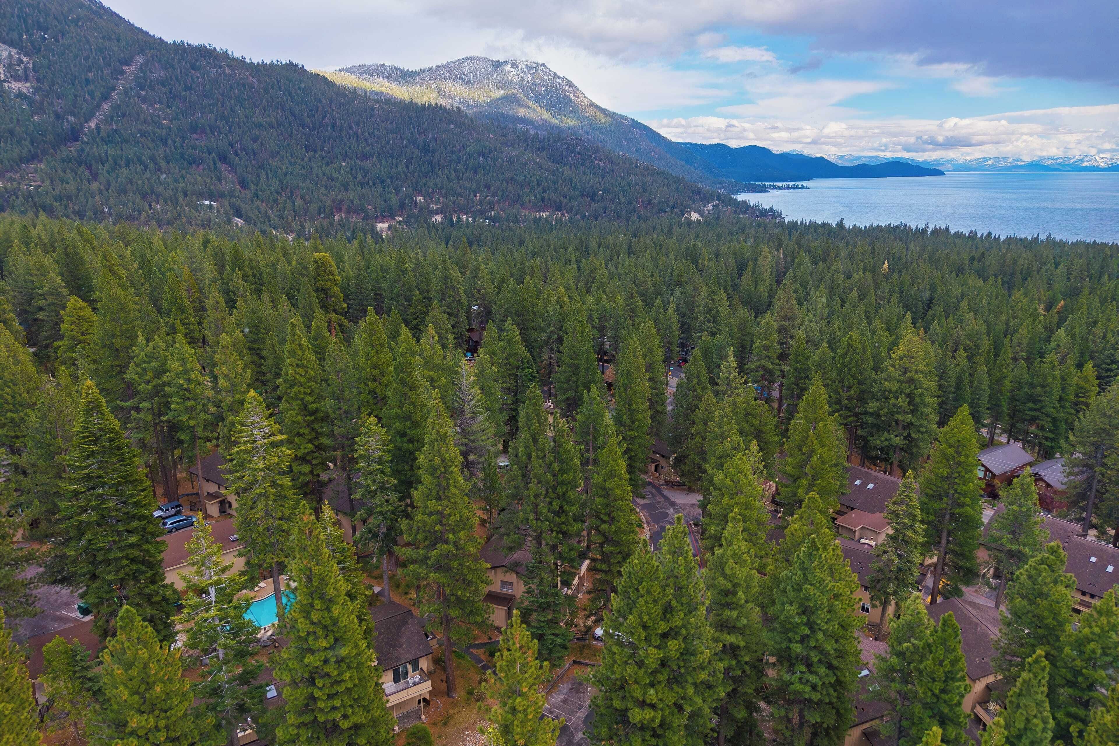A residential area with houses surrounded by dense forest, a mountain range in the background, and a body of water to the right.