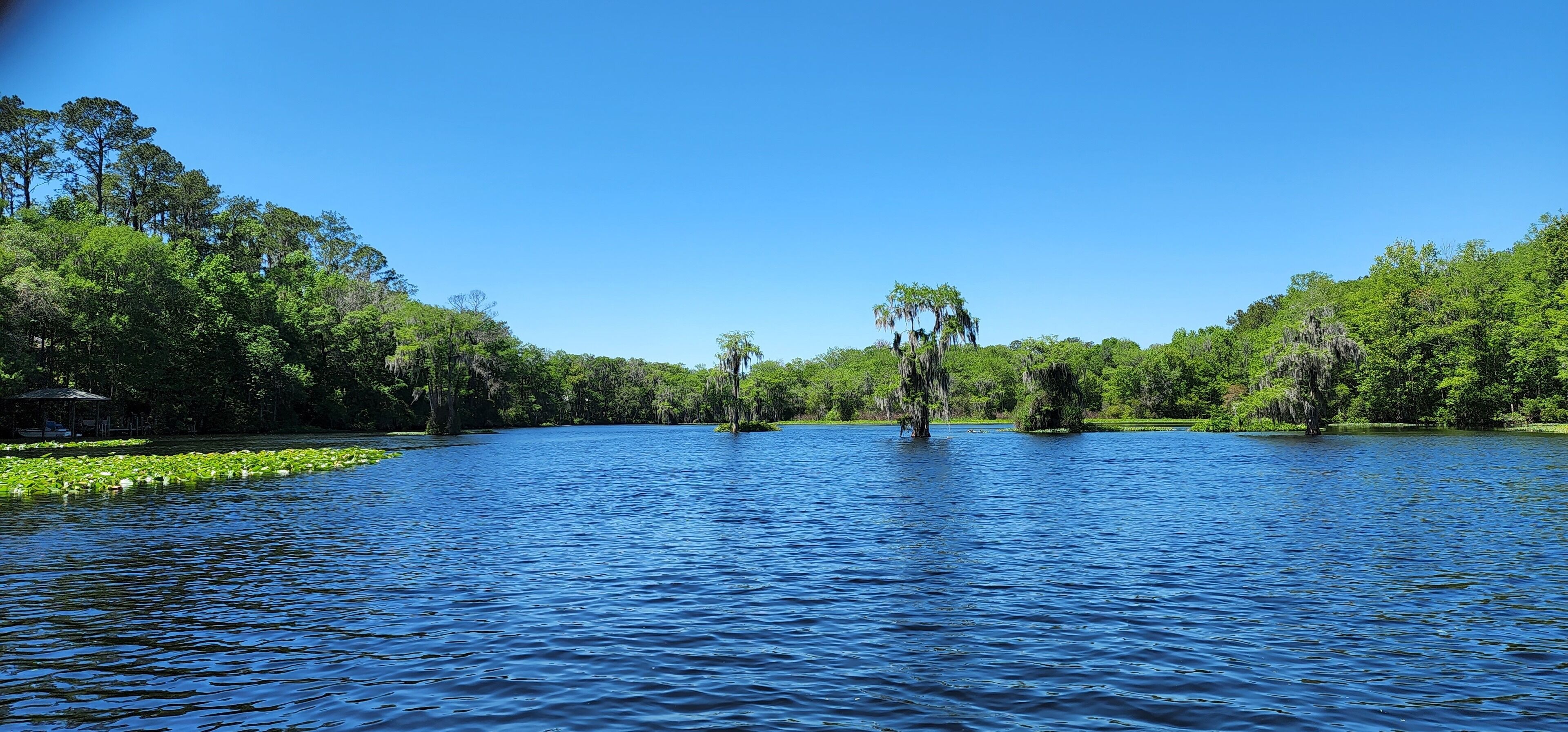 A calm lake surrounded by dense greenery and trees.
