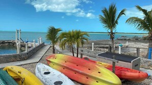 Une zone située au bord de la plage, avec des kayaks, un petit bâtiment et des palmiers.