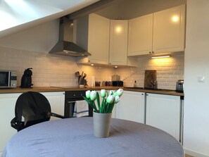 Fridge, microwave, oven, stovetop - Top-floor cross-through apartment with 2 terraces, in Divonne-les-Bains (Divonne-les-Bains)