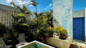 A pool area with lounge chairs and potted plants, surrounded by a blue door and a concrete wall. - KAáN, AN OASIS WITH A GREAT LOCATION, IDEAL FOR RECONNECTING WITH NATURE. (Mérida)