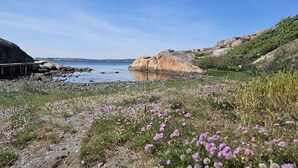 Paisaje costero con terreno rocoso, una masa de agua y flores silvestres.