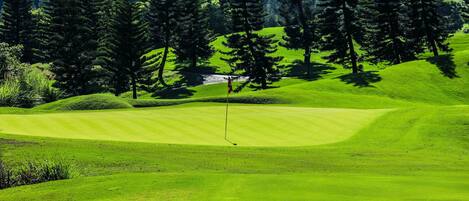 Golf