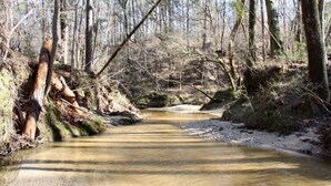 A narrow, shallow stream flowing through a forested area with bare trees and fallen branches.