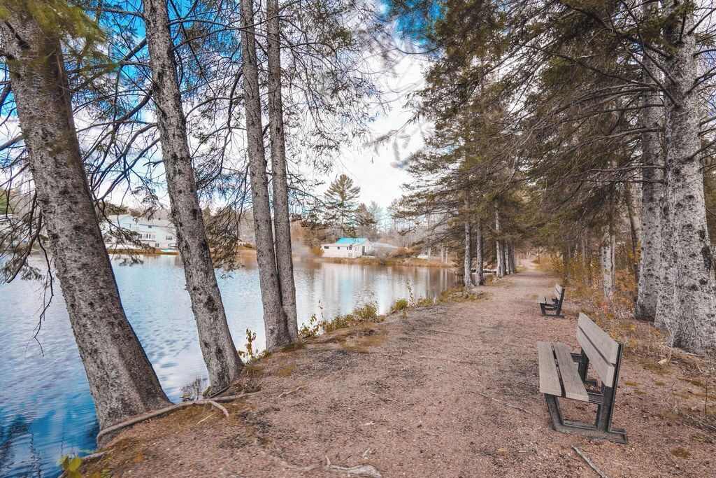 A bench by a lake with trees and a building in the background.