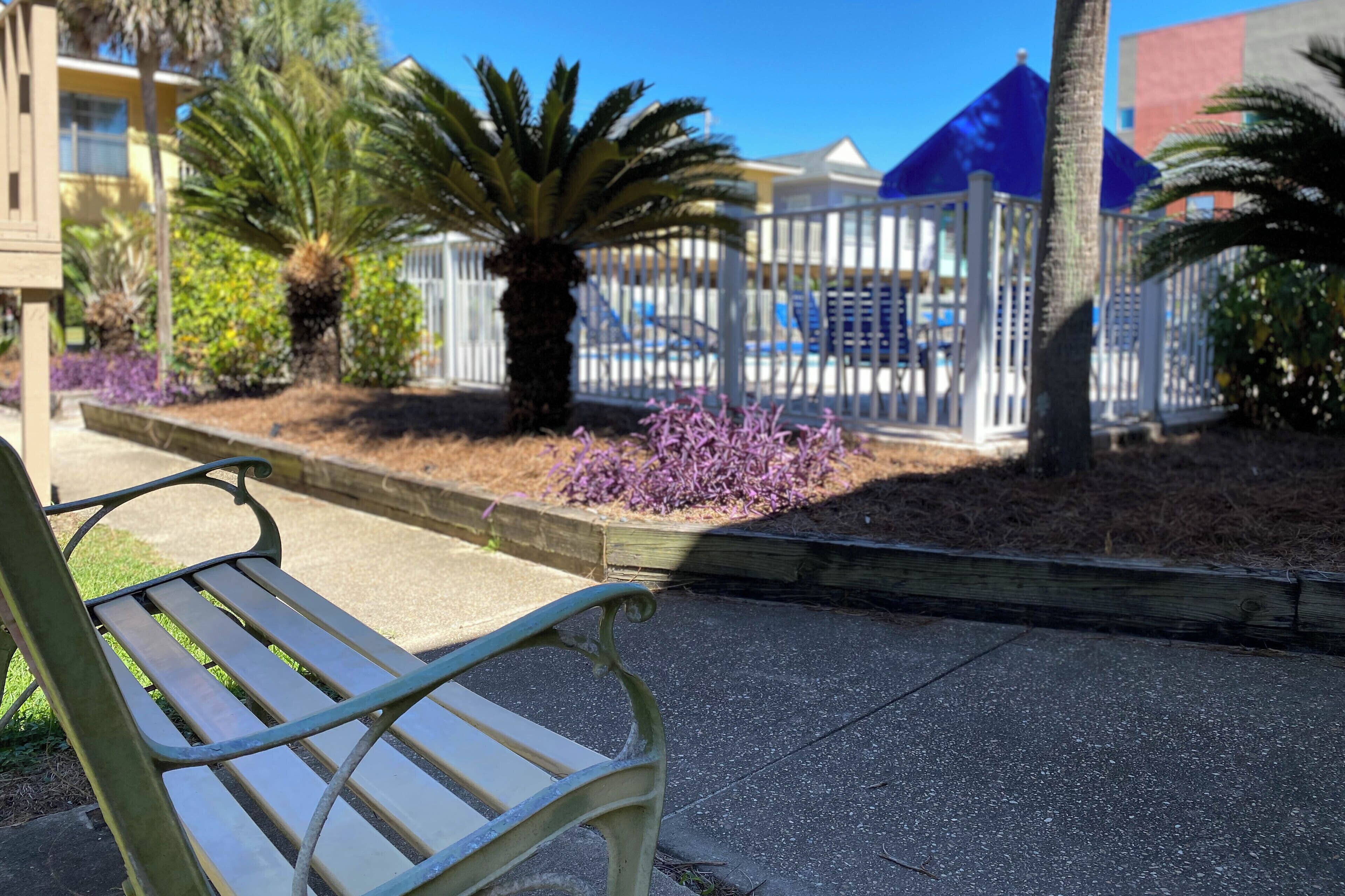 Um banco numa área ajardinada com piscina e uma cerca branca ao fundo.