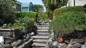 A stone staircase leading up to a house surrounded by lush greenery and a variety of plants.