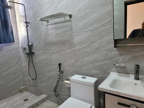 Shower, hair dryer, bidet, towels