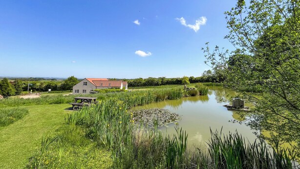 A house with a red roof, a pond, and surrounding greenery.