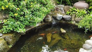 A koi pond with clear water, surrounded by rocks and greenery.