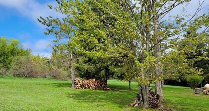 The Willow House - 3 bedroom home near Castle Farms - Events welcome!