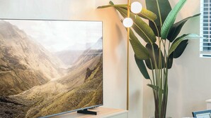A flat-screen TV on a stand, a tall floor lamp with three lights, and a large green plant.