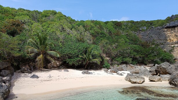 A beach with clear turquoise water, sandy shore, and lush greenery. - KAZ A KLEMENCE - Gite colibris : Haven of peace with swimming pool & local cuisine (Anse-Bertrand)