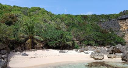 "Bel Ti Mam'zelle Créole"