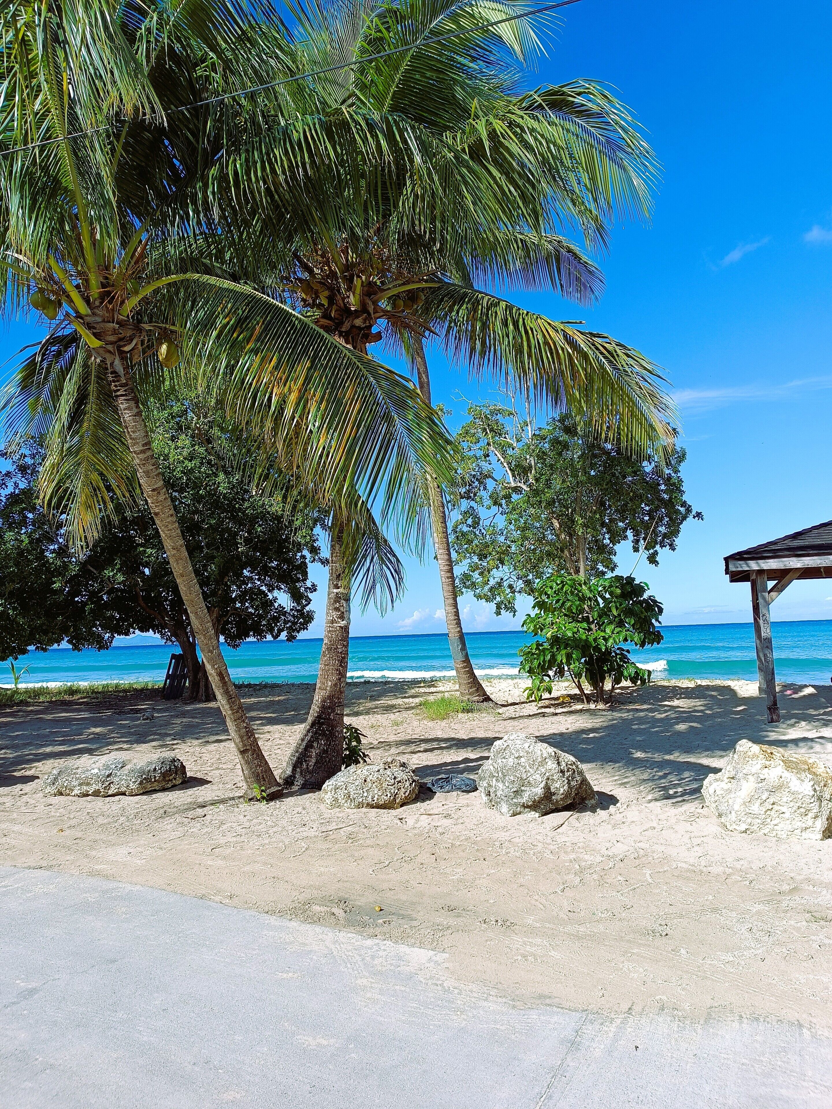 A beach with palm trees, a wooden structure, and a clear blue sky.
