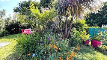 Área da propriedade