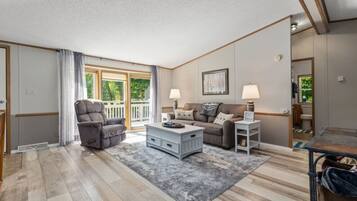 Smart TV, fireplace, books