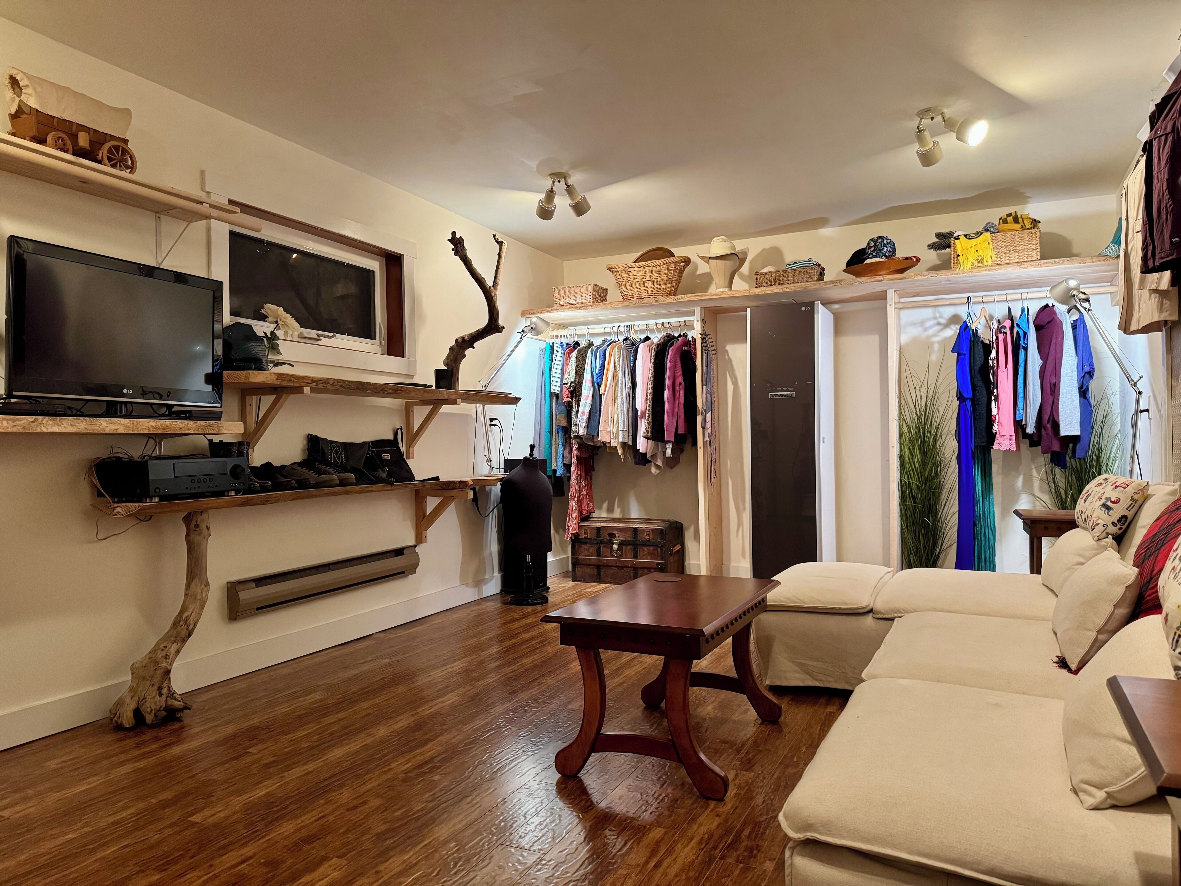 TV, video games, DVD player, video library