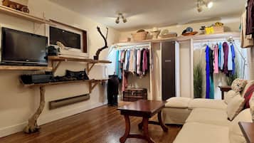 TV, video games, DVD player, video library