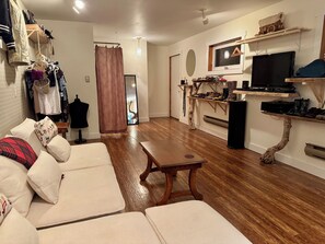 TV, video games, DVD player, video library