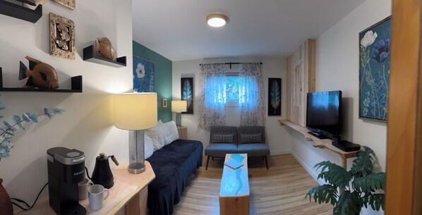 TV, video games, DVD player, video library