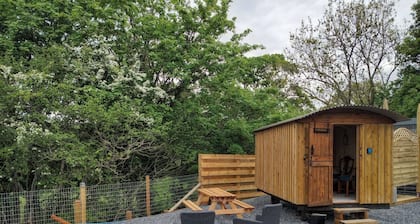Tranquil Cabin Retreat in Llandovery