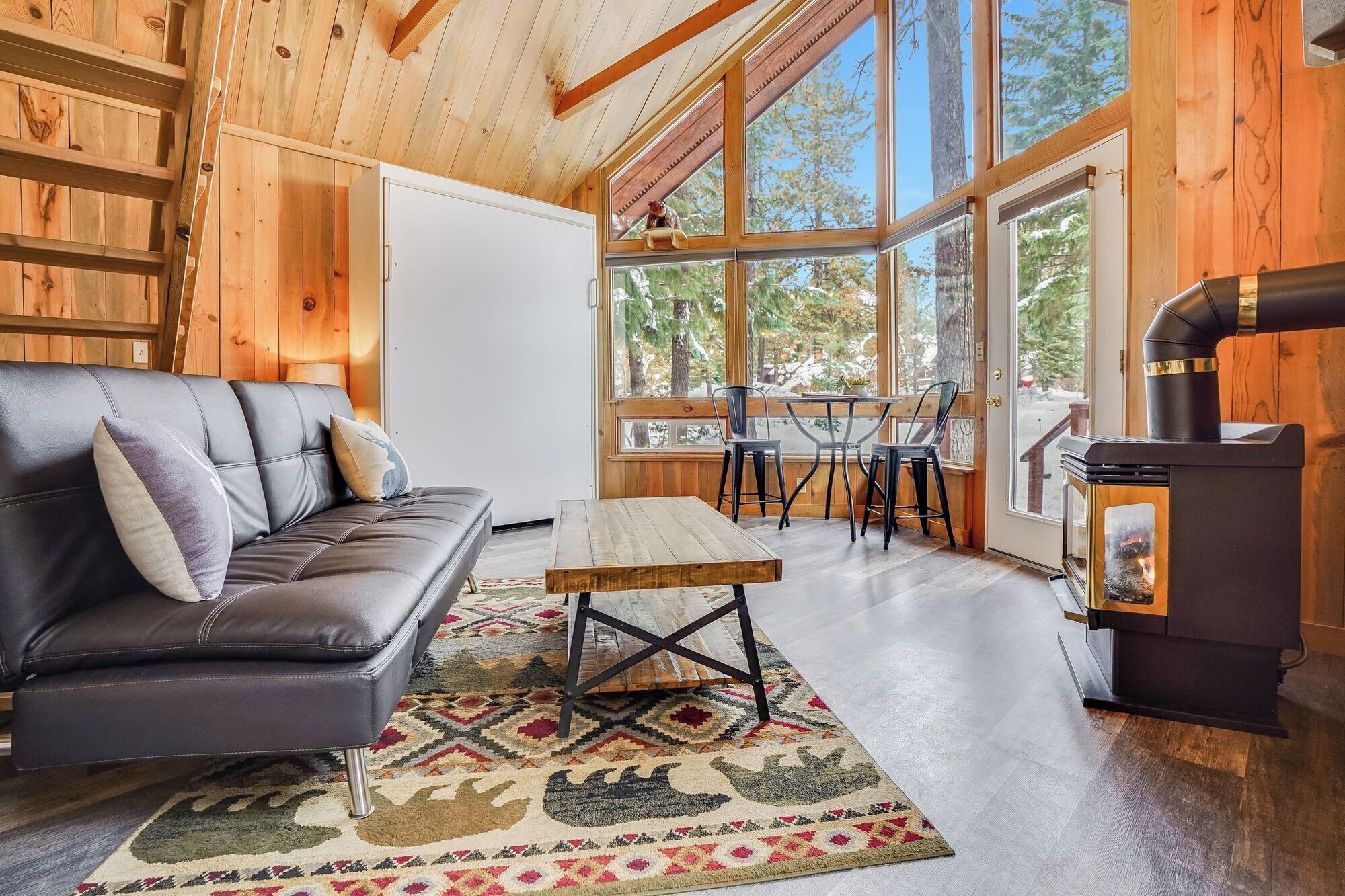 Tv, pejs, dvd-afspiller, videobibliotek