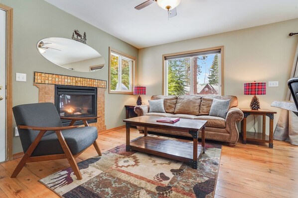 TV, fireplace, DVD player, video library