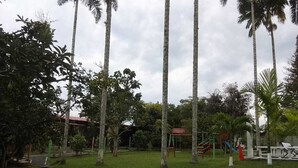 A grassy area with palm trees and a playground with swings and slides. - Beautiful 9-bedroom bed & breakfast in adorable Pereira (Pereira)