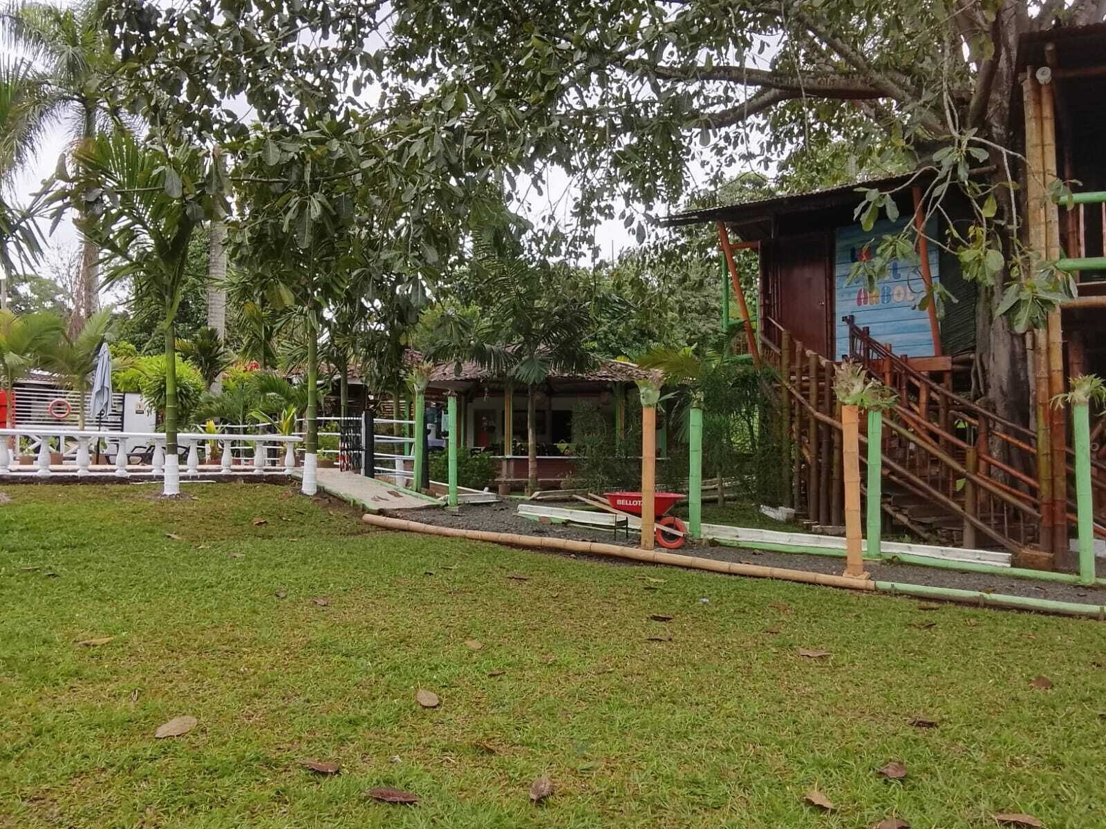 Un espace herbeux avec un petit jardin, une structure en bois dotée d’un escalier et une zone délimitée par une clôture, où se trouve une brouette.